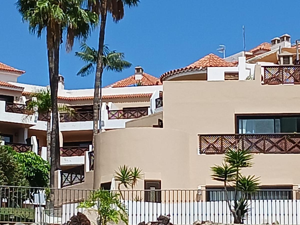 Chillout Studio Albatros In Toller Anlage Mit Pool San Miguel de Abona Kültér fotó