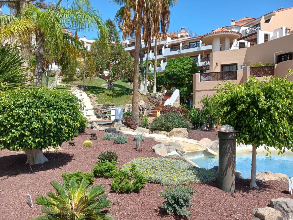 Chillout Studio Albatros In Toller Anlage Mit Pool San Miguel de Abona Kültér fotó